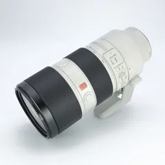 2025年最新】fe 70-200mm f2.8 gm ossの人気アイテム - メルカリ