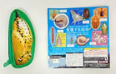 2025年最新】オオゴマダラの人気アイテム - メルカリ