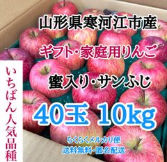 【贈答40玉・10kg】山形県寒河江市産 サンふじ りんご 蜜入り
