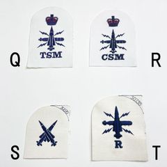 Item thumbnail for item 479157b6-95ae-4104-8df6-a0cb8ddea099