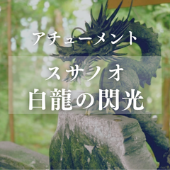 スサノオ 白龍の閃光 エネルギー伝授 アチューメント 自己伝授 白龍 高次元