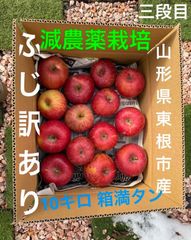 減農薬栽培山形県東根市産ふじりんご大人気た♪訳あり11〜12キロ前後段のみ仕切り
