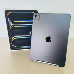 バッテリー最大容量100% Apple iPad Pro 11インチ Wi-Fi+Cellular 256GB M4 2024年モデル MVW13J/A 付属品完備 C3386 60サイズ発送