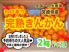 【限定❣️訳あり】露地きんかん2㎏/金柑　キンカン　みかん　果物　国産レモン