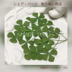 四つ葉のクローバー 押し花 四つ葉のクローバー 押花 押し花 通販 販売