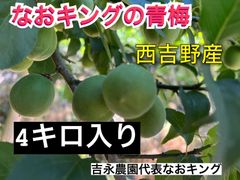 青梅 4キロ 西吉野産 6月上旬発送 梅