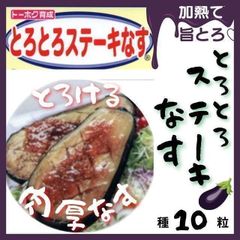 【野菜の種】大型でとろとろ♡「とろとろステーキなす」種10粒