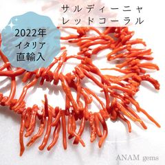 【天然色】【約10cm】サルディーニャ産 天然サンゴ　枝長め（レッドコーラル）胡渡り（こわたり）