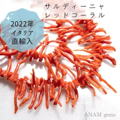 2023年最新】枝サンゴの人気アイテム - メルカリ