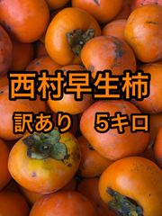 鹿児島県産 土付きらっきょう Sサイズ 約10kg - メルカリ