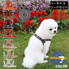 2023年最新】犬 リード 革の人気アイテム - メルカリ