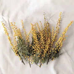 大きなミモザとピンクのオーバルリースイタリア産ミランドールスターチス春