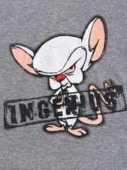 Change's Pinky and The Brain ピンキー&ブレイン キャラクタープリントTシャツ USA製