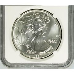 【 イーグル銀貨 】 1991年 アメリカ発行 1オンス　NGC MS69