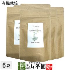 シャルムボー 炭酸パック CO2パック 未開封 10枚入とお試し用1枚