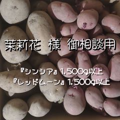茉莉花 様　御相談用　『シンシア』1,500g以上　『レッドムーン』1,500g以上