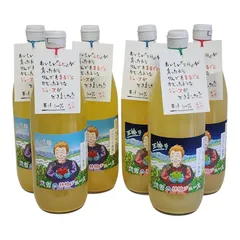 南信州松川町産　混濁ストレート　りんごジュース　1L×6本　ふじ3本　王林3本のサムネイル