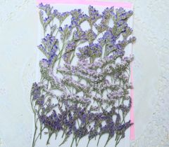 Item thumbnail for item 200810c4-8c8e-48f5-ba29-46284abedc3c