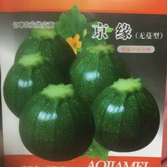 西葫芦 ズッキーニ 種 圆西葫芦 圆角瓜10粒