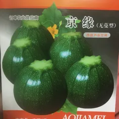 西葫芦 ズッキーニ 種 圆西葫芦 圆角瓜10粒のサムネイル