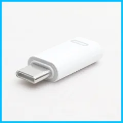 【人気商品】C に変換できるアダプタ USB 高速充電 USB-C から Android iPhone15 ライトニング 急速充電 データ転送 変換アダプタ iPad type Type-C c USB to C タイプC Lightning イヤホン・アクセ