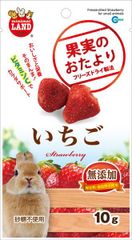 【お取り寄せ】ビタミンCでカラダサポート！ 果実のおたより いちご 10g