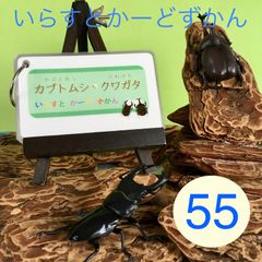 【いらすとかーどずかん】カブクワ 55種類 リングつき