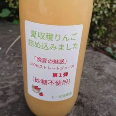 今年8月収穫りんご詰め込みました。１００％ストレートジュース（砂糖不使用）「晩夏の魅惑」第１弾（使用品種・しなのリップ/夏あかり/しなのレッド）この組み合わせ中々ないですよ。goo！