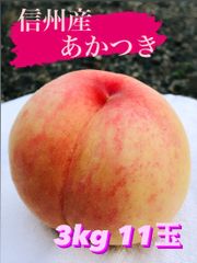 信州産もも【桃★あかつき】3kg 11玉前後