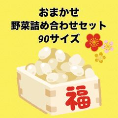 月曜日発送‼️おまかせ野菜詰め合わせセット‼️90サイズのサムネイル