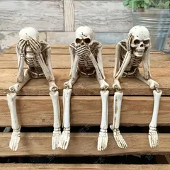 ポーズスケルトン 各種まとめ売り 2025年最新】ポーズスケルトンの人気アイテム - メルカリ