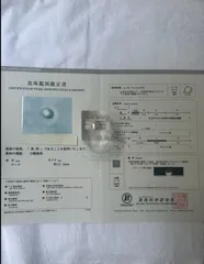 真珠 白蝶 パール フェニックス ペンダント ネックレス K18WG 12.1mmUP K18 ホワイトゴールド 鳳凰