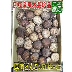 ★今季最終間近★無農薬★伊豆産原木栽培品★肉厚小粒どんこ3.5～4㎝生椎茸1㎏