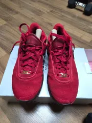 レブロン20アカツキジャパンレッド 【サイズ】 28センチ レブロン20 28センチNike - メルカリ