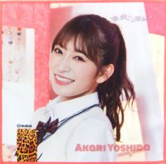 Item thumbnail for item 45c2c835-15ce-4d18-bb5b-8dbbd8a0ee14