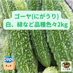 🥗ゴーヤ(にがうり)白、緑など品種色々大小混ぜて合計2キロ70サイズ前後♪( ´▽｀)マナ菜園🥗クール便発送