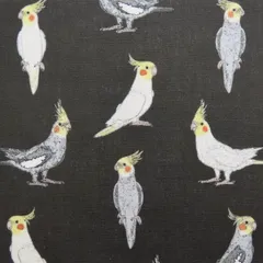 2025年最新】オカメインコ 生地の人気アイテム - メルカリ