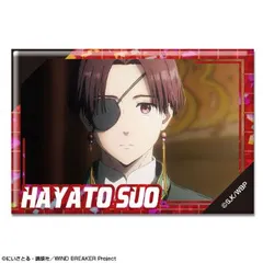 【新品・公式】WIND BREAKER ホログラム缶バッジ デザイン13(蘇枋隼飛/E) 公式グッズ colleize