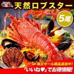 천연 랍스터 ​​합계 1.5kg 전후(300g 전후×5꼬리) 새우 새우 새우 이세 새우 이세에비 냉동 고급 오세치 디너 인스타 감성 빛나는 요리 비스크 홈 파티 [코라조]