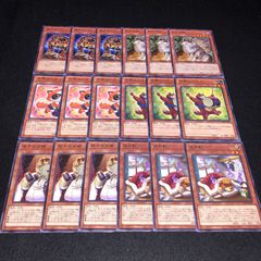 遊戯王 NO.807 五月豹 犀子の王様 子狸たんたん 子狸ぽんぽこ 孤高除獣 猛虎モンフー 各3枚 計18枚