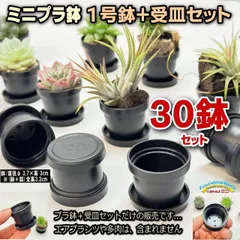 ミニプラ鉢専門店＊1号鉢黒ミニプラ鉢＋受皿⇒30セット＊ミニプラ鉢に特化した品揃え※エアプランツや多肉植物は付属しません＊塊根植物コーデックス・アガベ・サボテン・盆栽・観葉・ハオルチア・アデニウム・パキポディウム＊グラキリス・実生＊ミニ鉢＠フラワーショップ江口