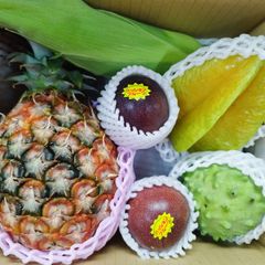 沖縄　果物　フルーツセット　ギフト用オススメ