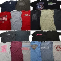 古着卸 まとめ売り カラーmix プリント 半袖Tシャツ 20枚セット (メンズ 2XL )ナイキ スーパーマン マーベル アニマル 犬 中古 古着 MY2566