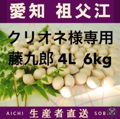 2026年新物 久寿 銀杏 ぎんなん 祖父江産 3L 8kg 2026新物 久寿ぎんなん 4L 1kg 愛知祖父江産 産直 - メルカリ