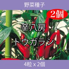 野菜種子 ECE 辛八房トウガラシ 4粒 x 2個
