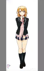 【中古】ポスター(アニメ) 等身大布ポスター 一色いろは 「PS Vitaソフト やはりゲームでも俺の青春ラブコメはまちがっている。続 布ポスターパック」 いまじん購入特典