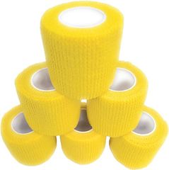 Item thumbnail for item b88e4310-70c7-4171-9442-d4dff9675113