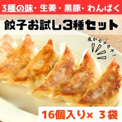 《お試し価格》餃子お試しセット 三種 48個 (生姜:16個 わんぱく:16個 黒豚にんにく:16個) お試し価格 お試しセット まとめ売り