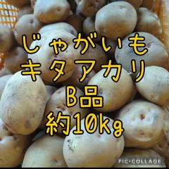 じゃがいも  きたあかり  10kgのサムネイル