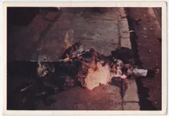 怪奇大作戦 焼死体 Y10